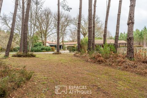 Maison entre architecture de verre et pinède