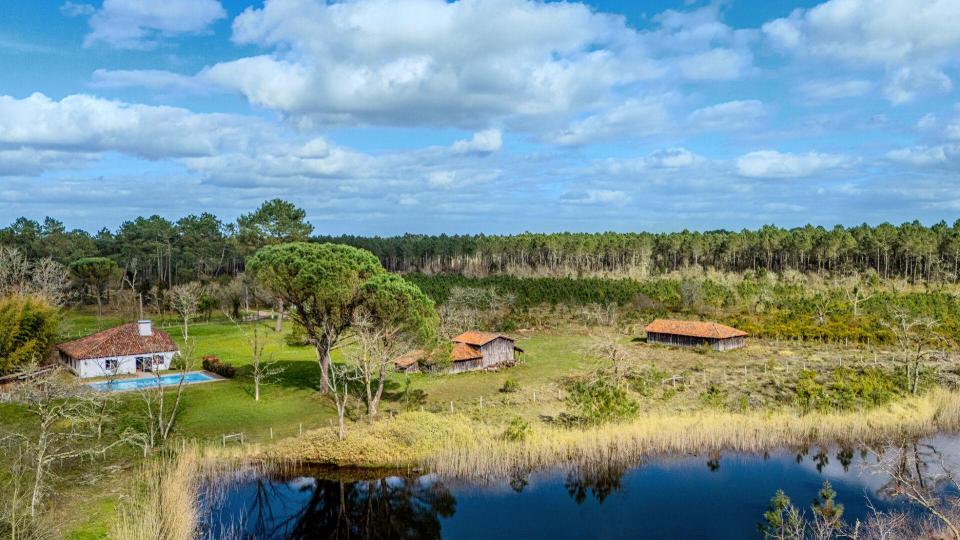 Landaise de caractère sur vaste domaine avec étang