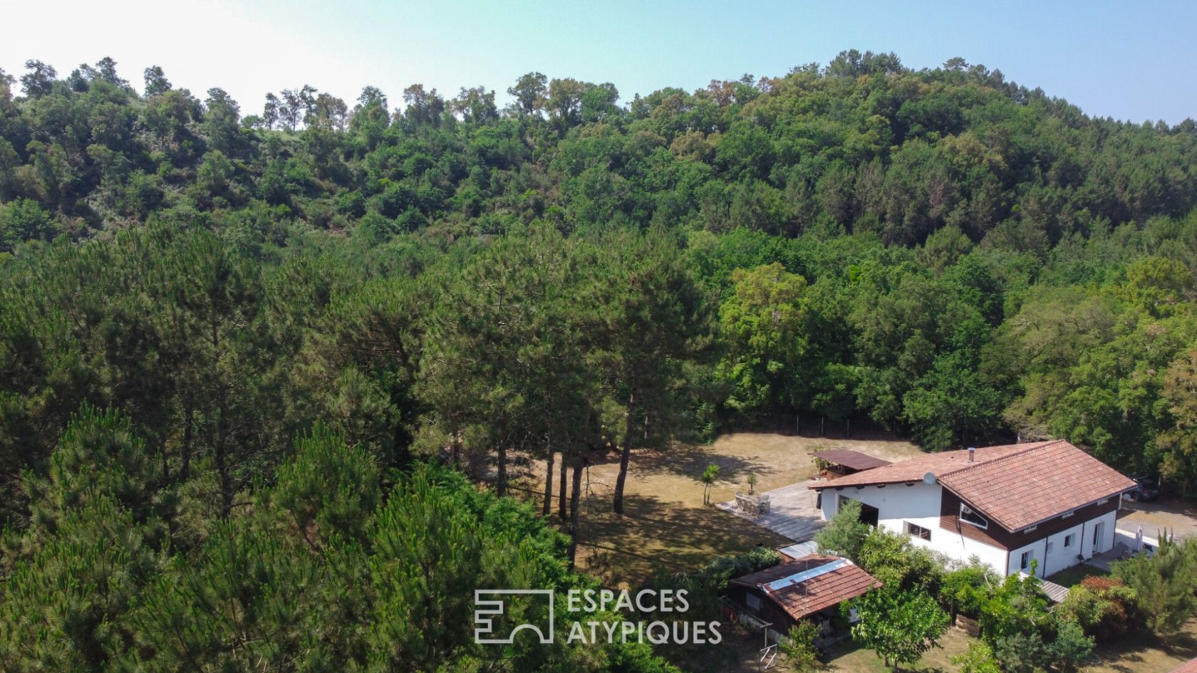 The house in the forest