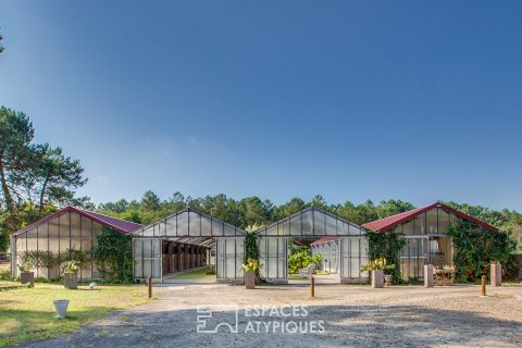 Atypical equestrian property at the gates of Dax