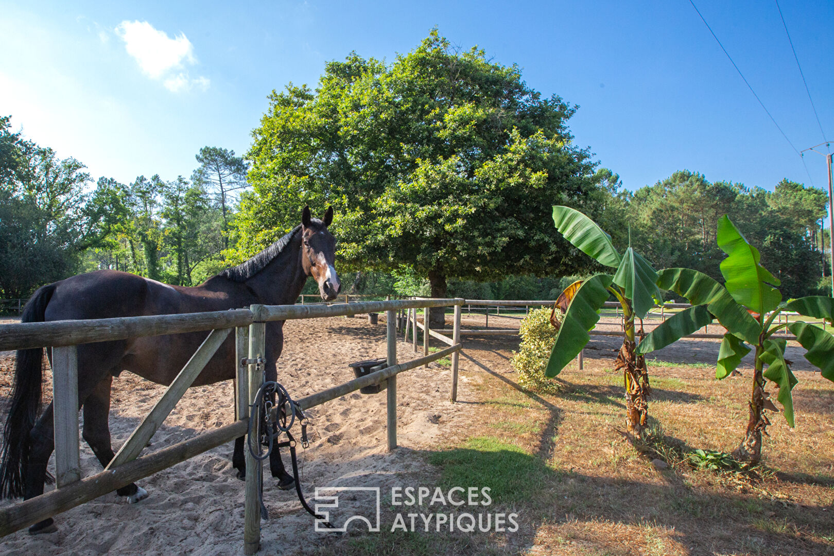 Atypical equestrian property at the gates of Dax