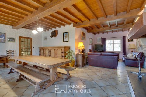 Property between pines and the Pyrenees with multiple possibilities