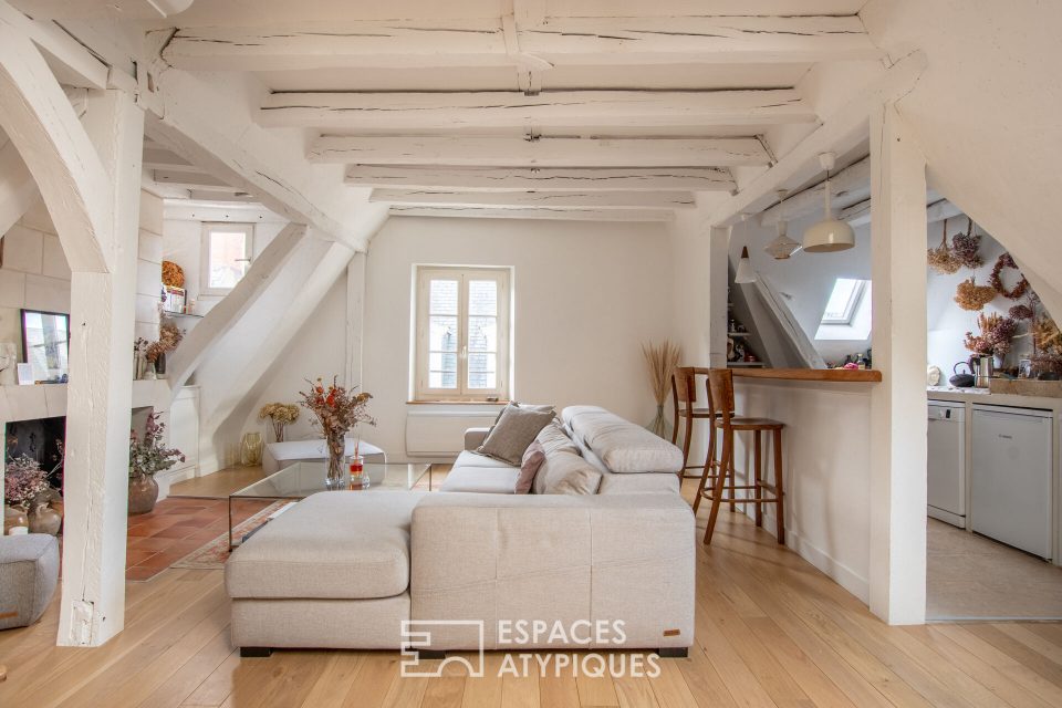 37000 TOURS - Duplex de charme avec terrasse sur les toits dans le coeur historique de Tours - Réf. EAT1467