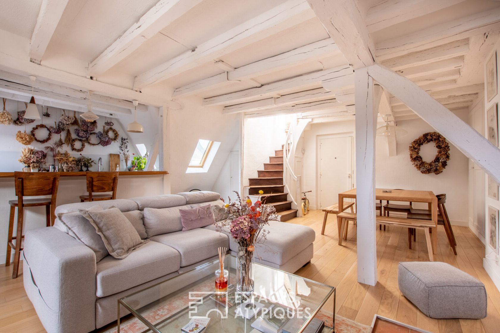 Duplex de charme avec terrasse sur les toits dans le coeur historique de Tours