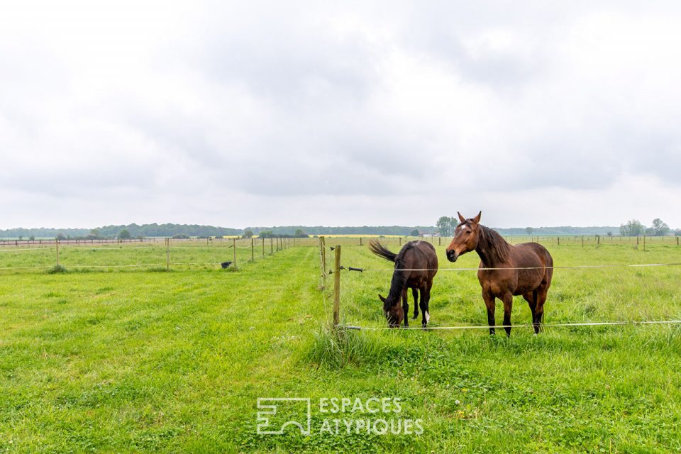 37800 SAINTE MAURE DE TOURAINE - Haras et longère rénovée en Sud Touraine - Réf. EAT1753-2