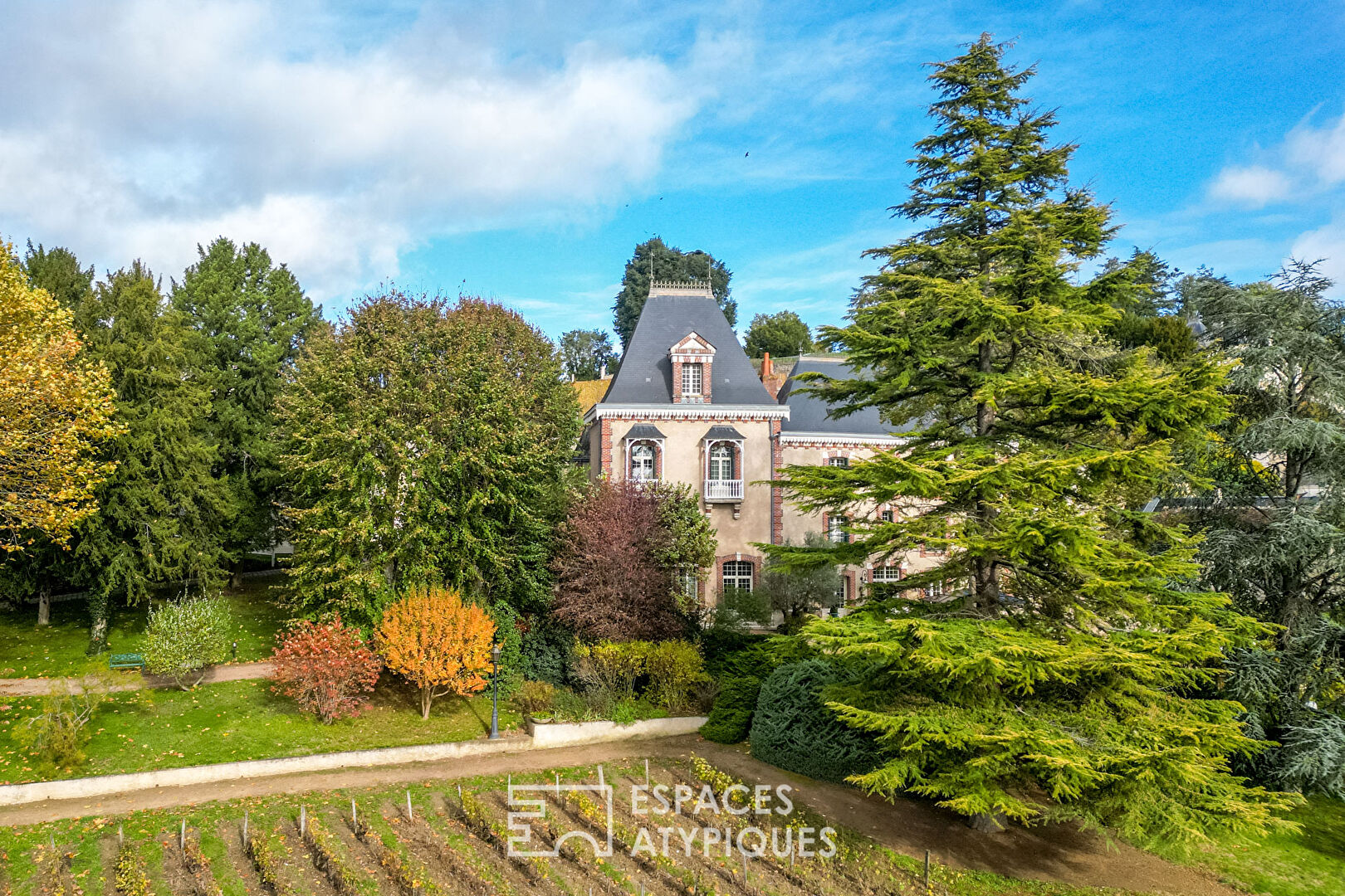 Magnificent 19th century property and its vineyard