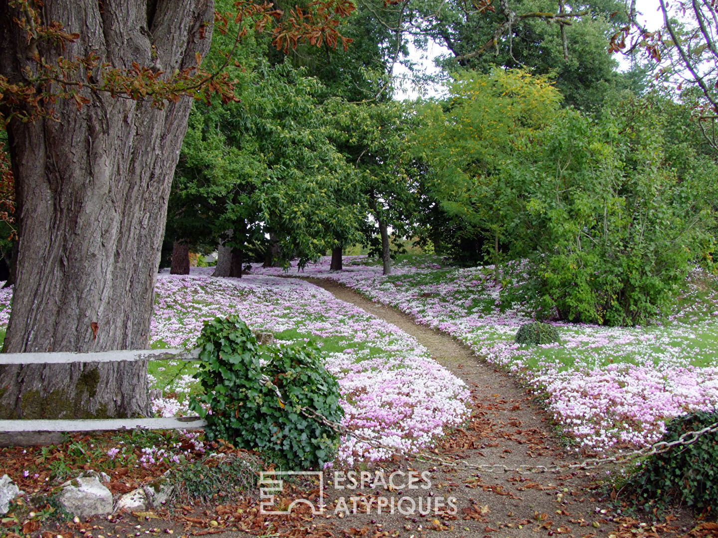 The cyclamen estate