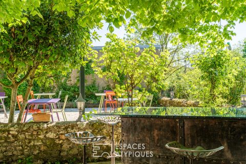Restaurant troglodyte avec terrasse panoramique sur les vignes