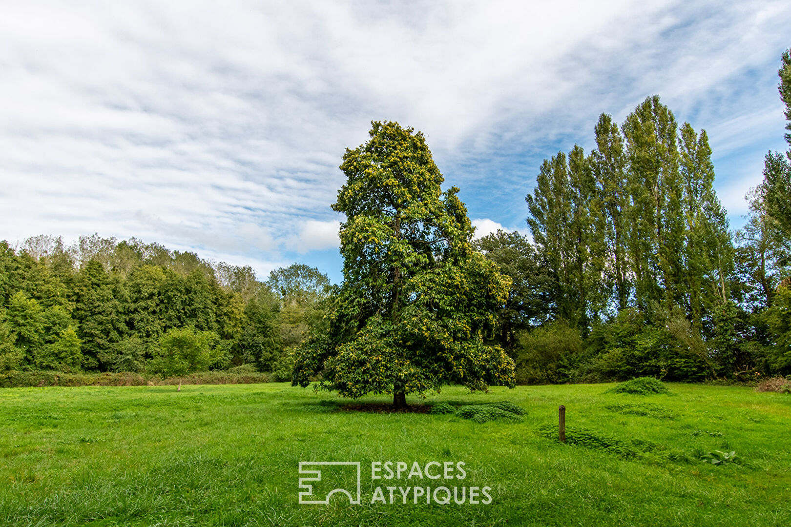 Moulin du 17e avec gites dans un cadre naturel d’exception