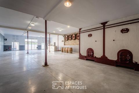 Ancienne cave viticole – Création potentielle d&rsquo;un loft