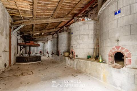L’âme d’une ancienne remise viticole : un potentiel de réhabilitation unique aux portes de Narbonne