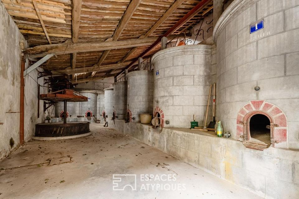 L'âme d'une ancienne remise viticole : un potentiel de réhabilitation unique aux portes de Narbonne