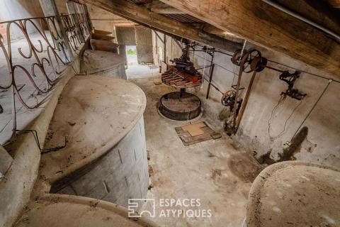 L&rsquo;âme d&rsquo;une ancienne remise viticole : un potentiel de réhabilitation unique aux portes de Narbonne