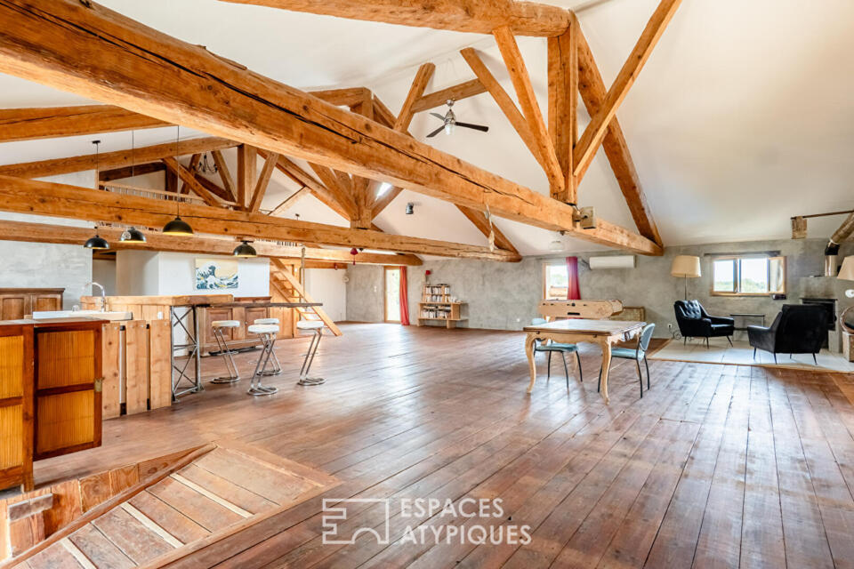 Ancienne cave réhabilitée en loft avec piscine et fort potentiel - Mailhac