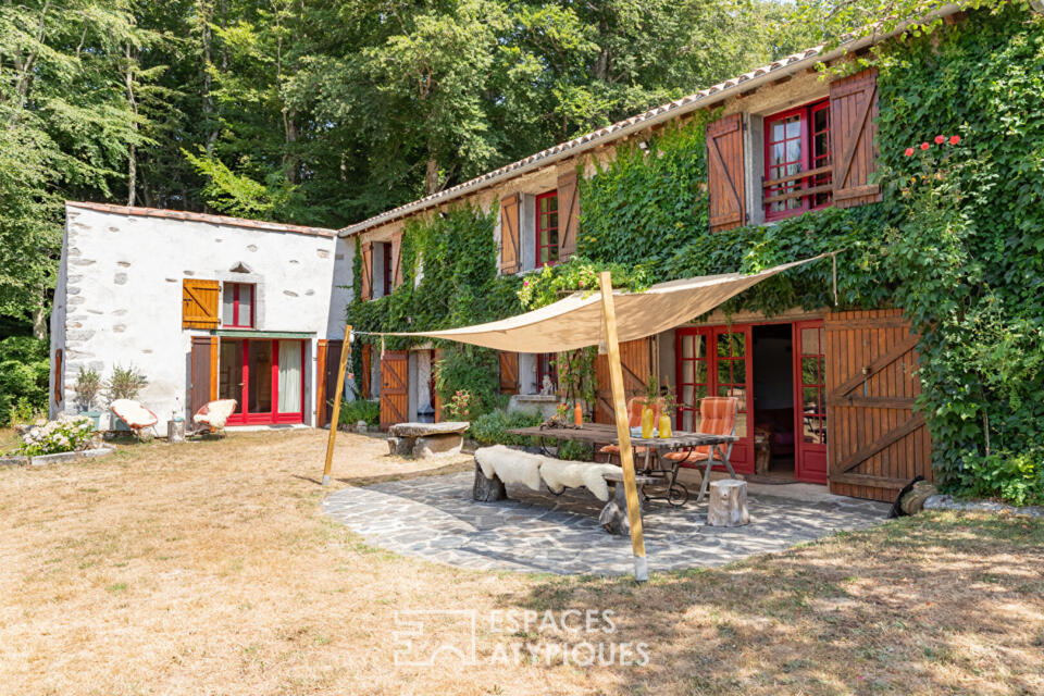 Corps de ferme de caractère avec piscine et 2,2 hectares - Montagne noire