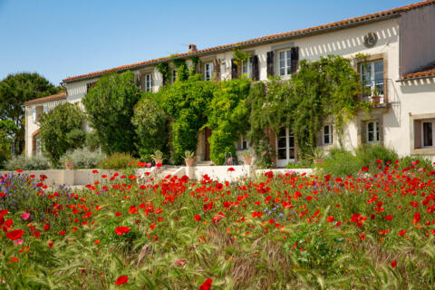 Domaine d&rsquo;exception 480 m² avec piscine et vue panoramique – Proche Carcassonne