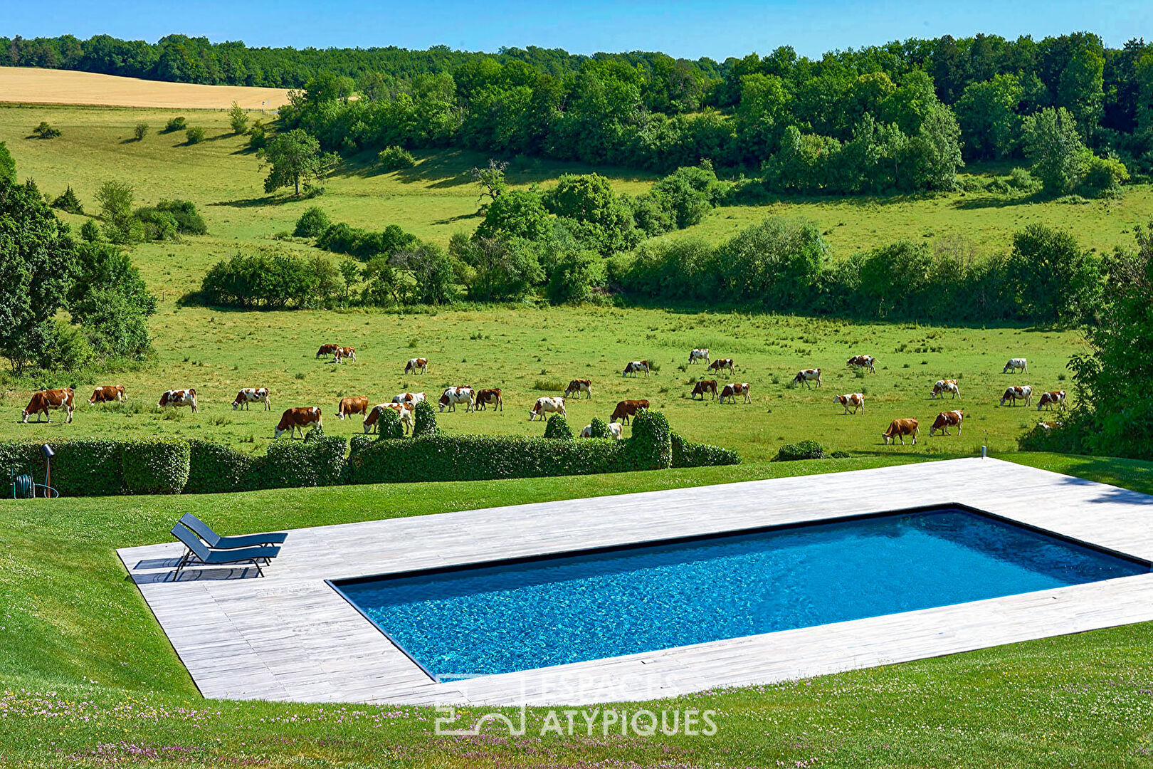 Country house in a green cocoon