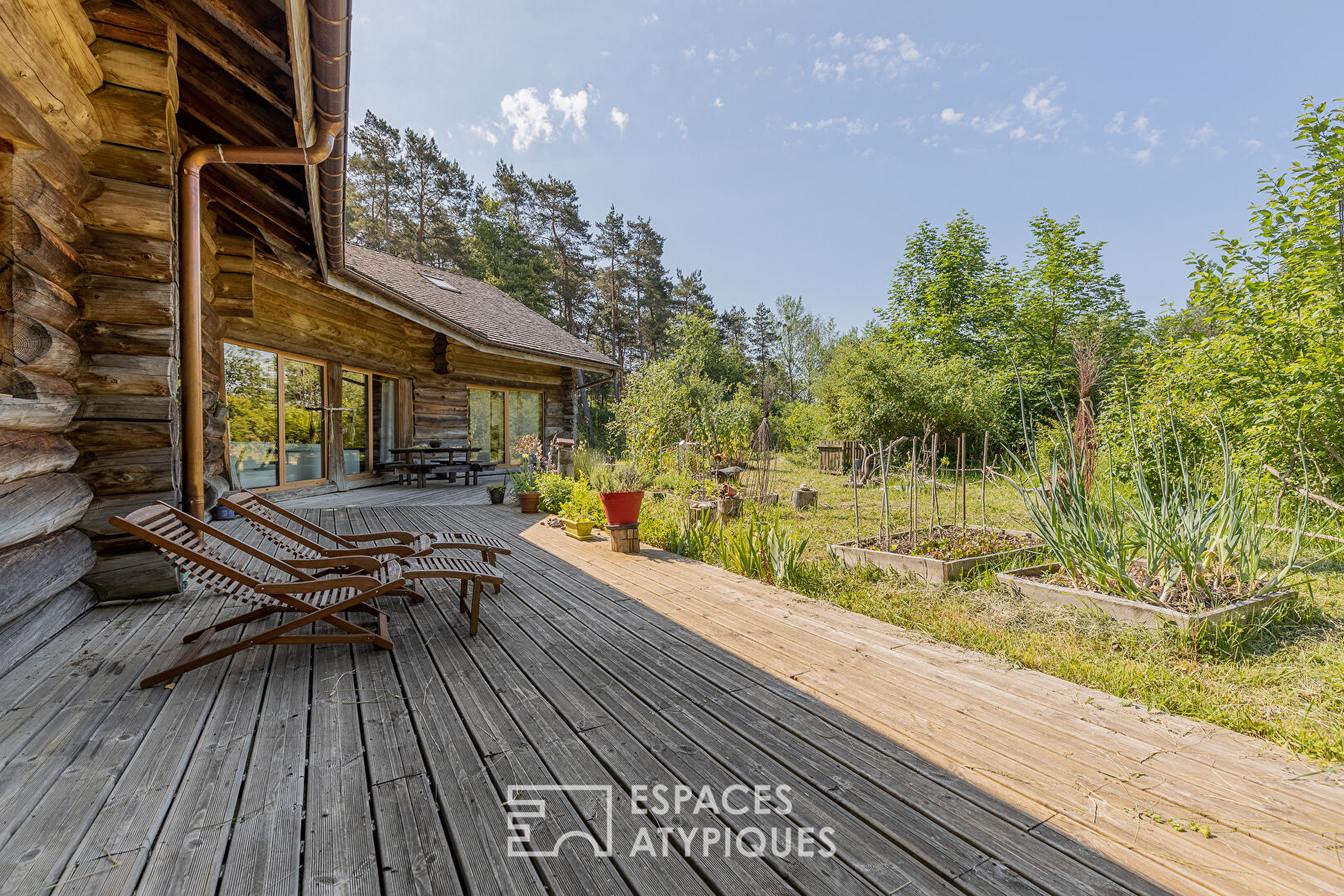 Chalet canadien en pleine forêt