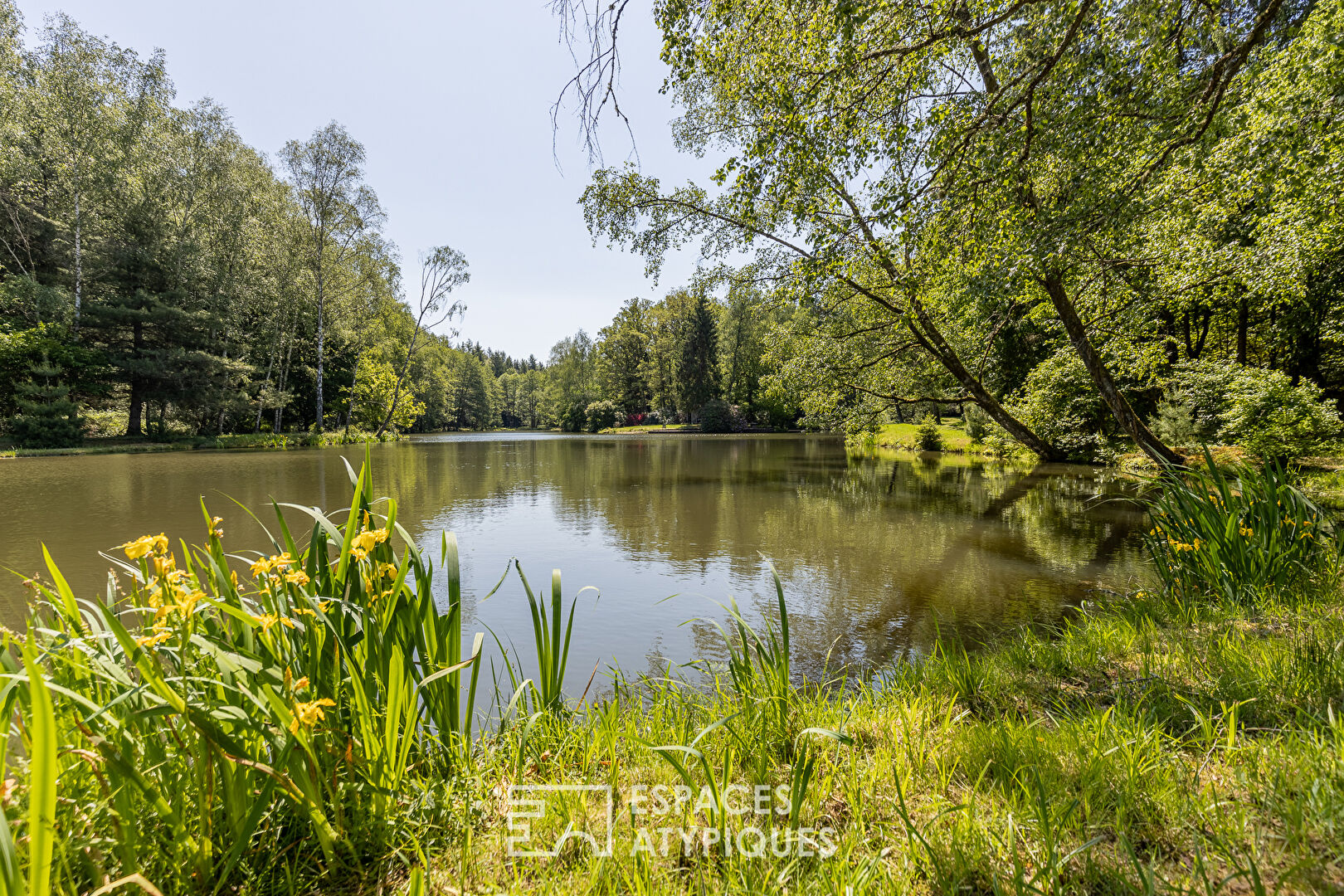 A haven of peace with a fishing pond in the middle of the forest