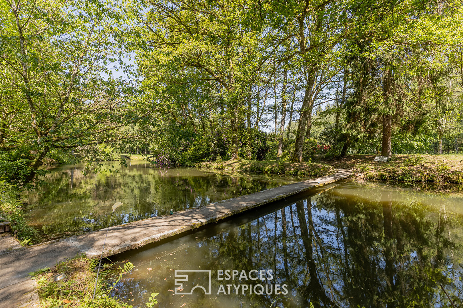 A haven of peace with a fishing pond in the middle of the forest