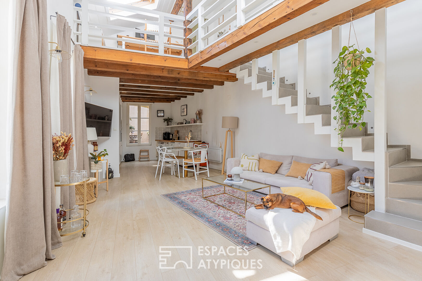 Charming duplex under the roofs