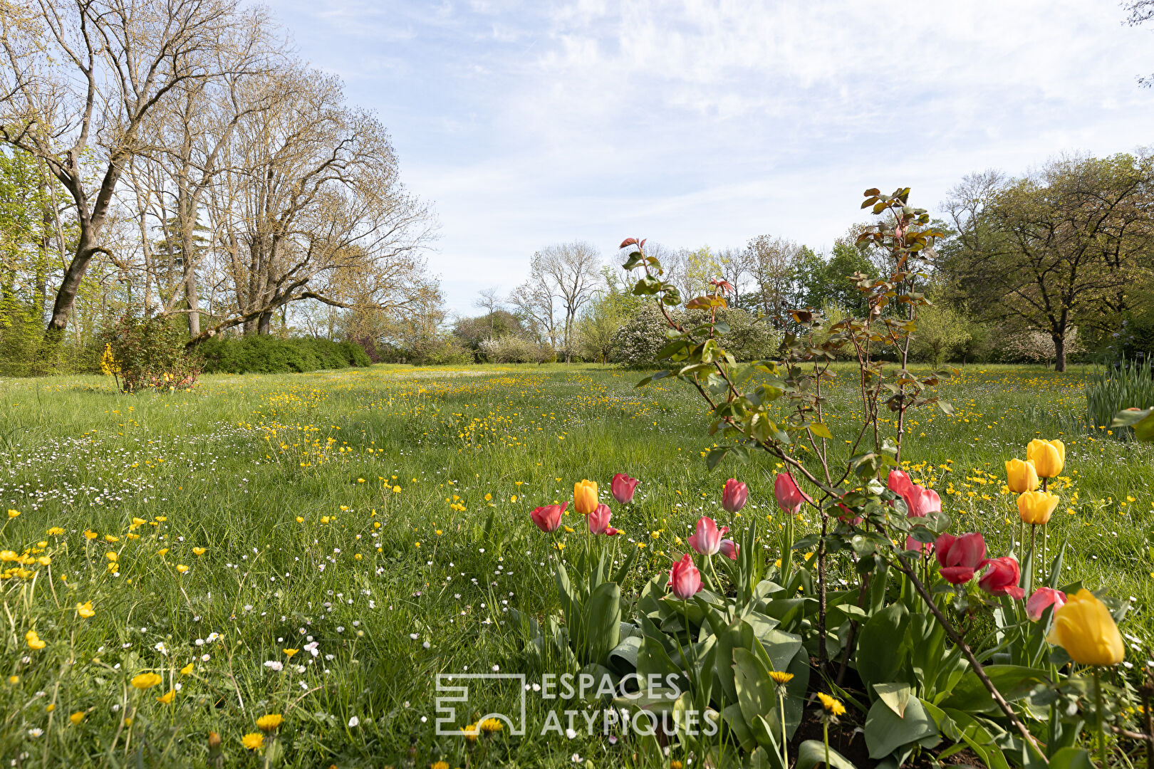 Demeure du XVIIIe siècle et son parc paysagé