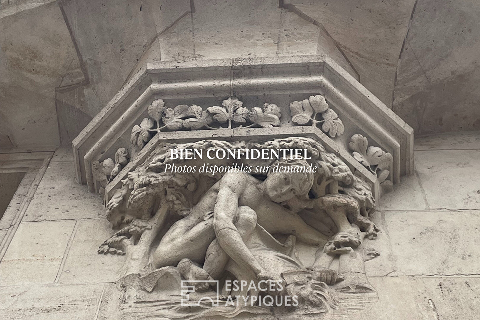 Appartement en coeur de ville et son jardin intimiste