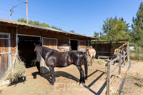 Family home with equestrian facilities