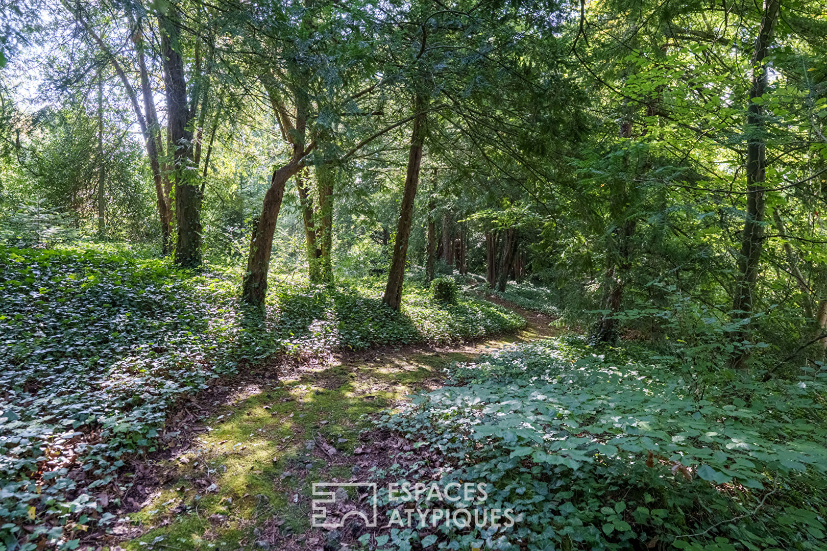 Maison des années 70 dans son parc arboré