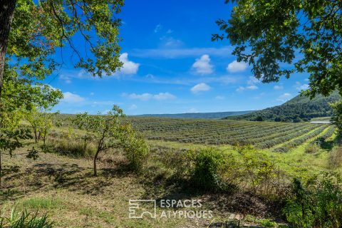Quiet house yet close to all amenities
