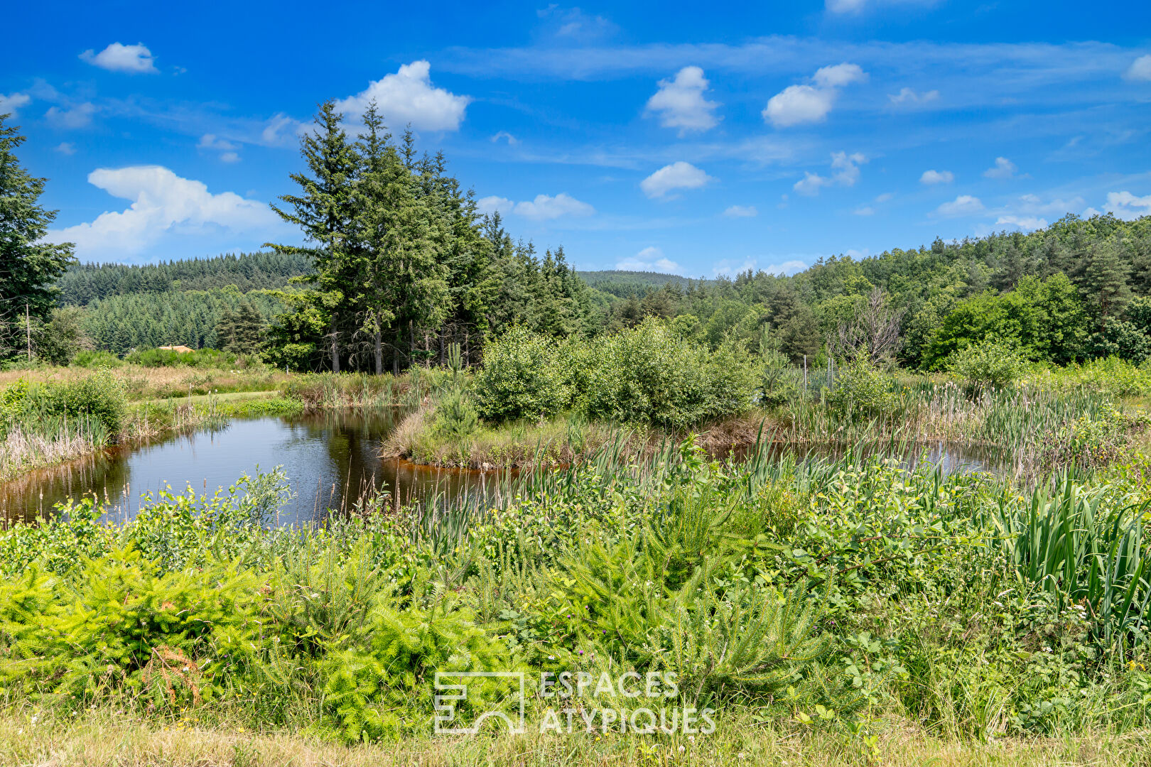 This characterful Ardèche property is generous by nature.