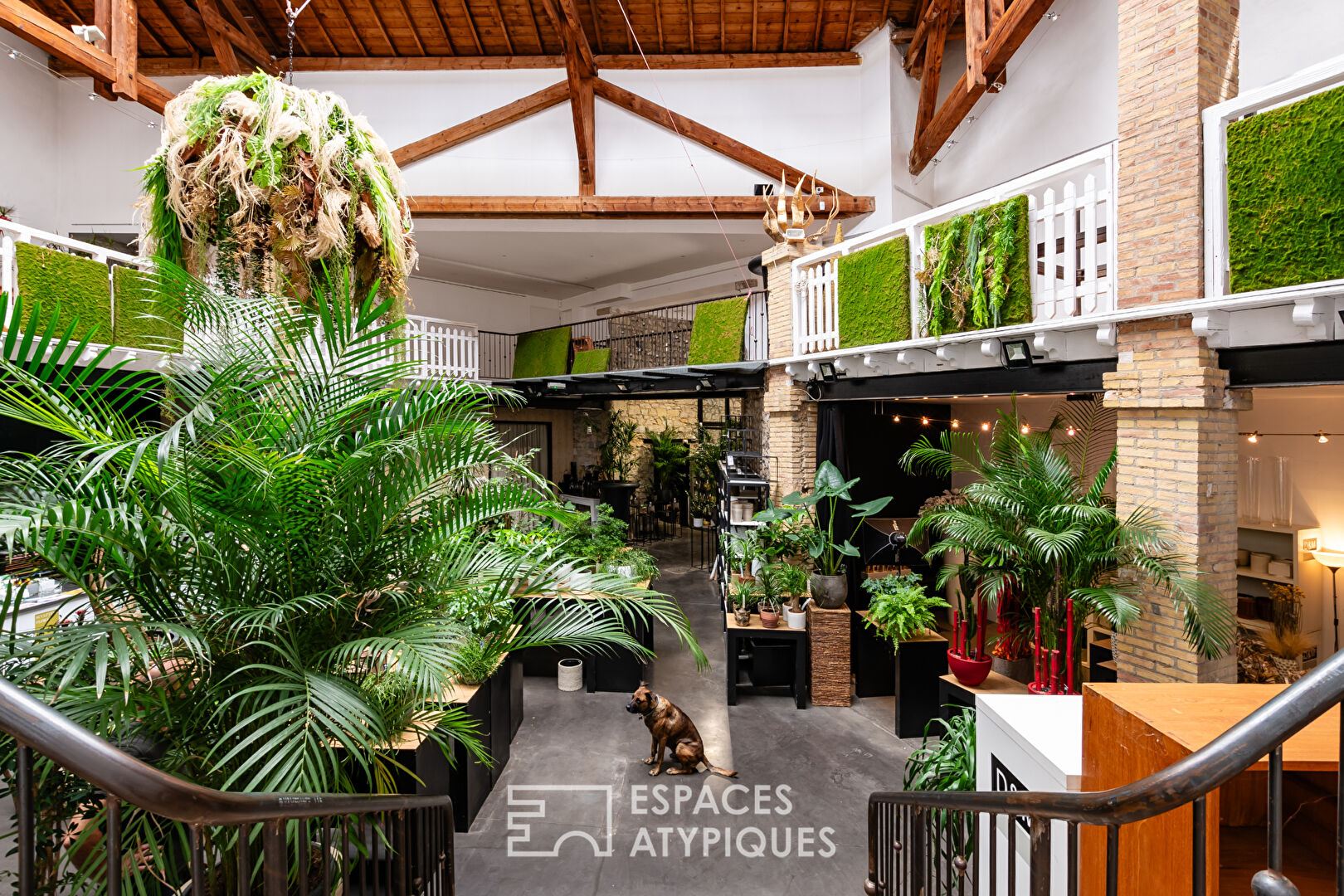 Sumptuous loft or commercial premises in Provence