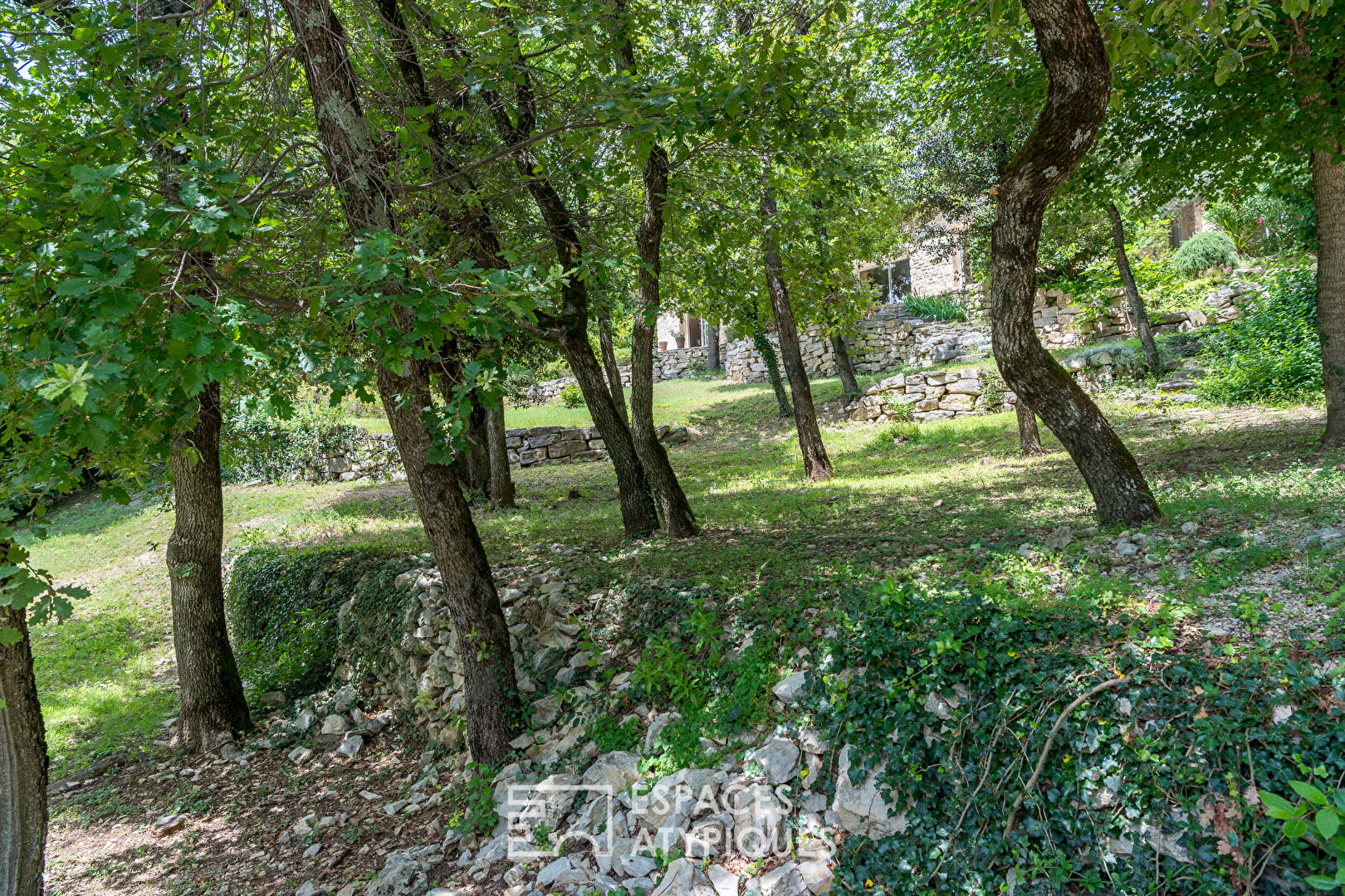 Character house with panoramic views in Provence