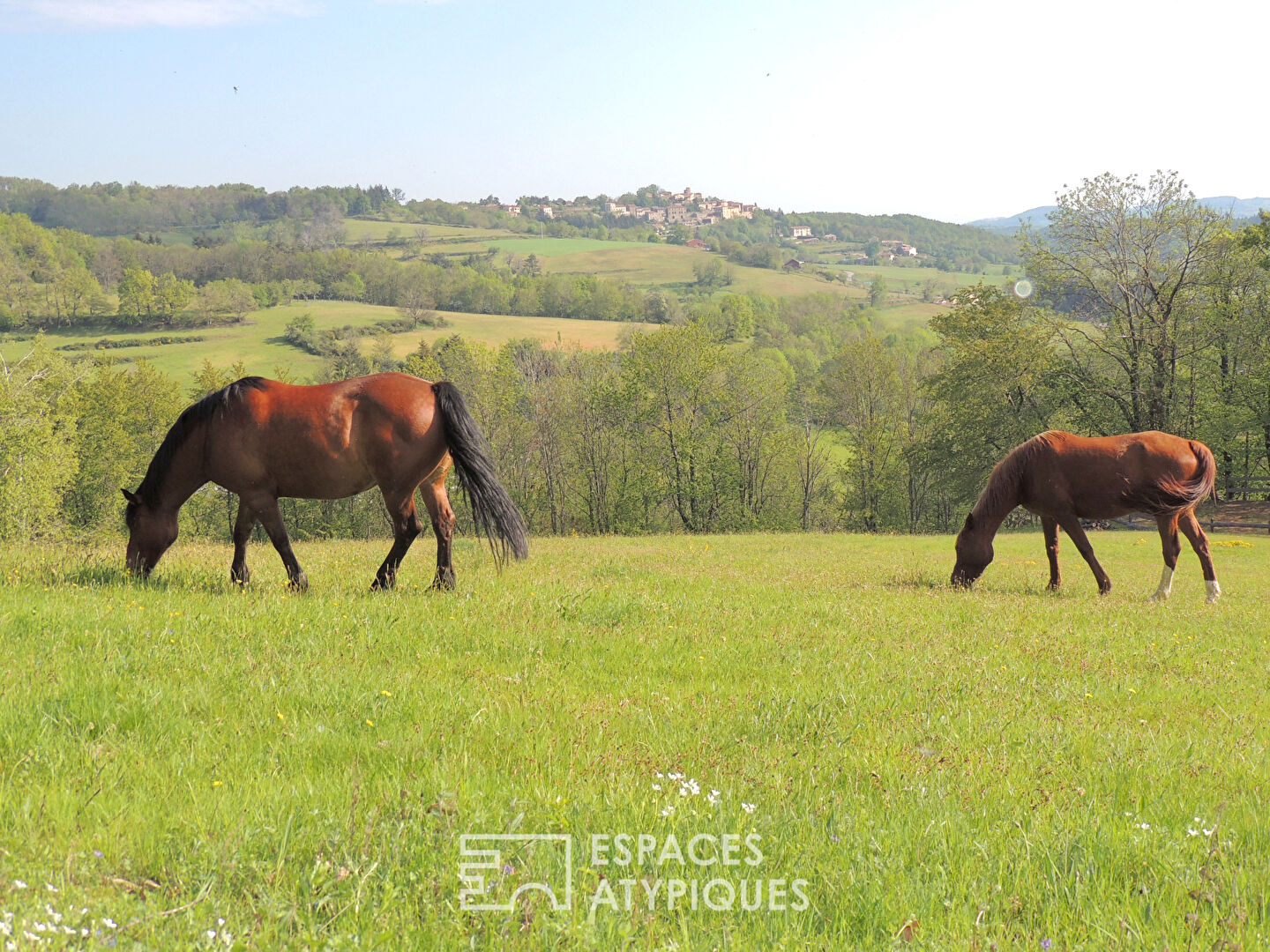 Superb Stone Property with Barn on a 5-Hectare Estate in Ardèche