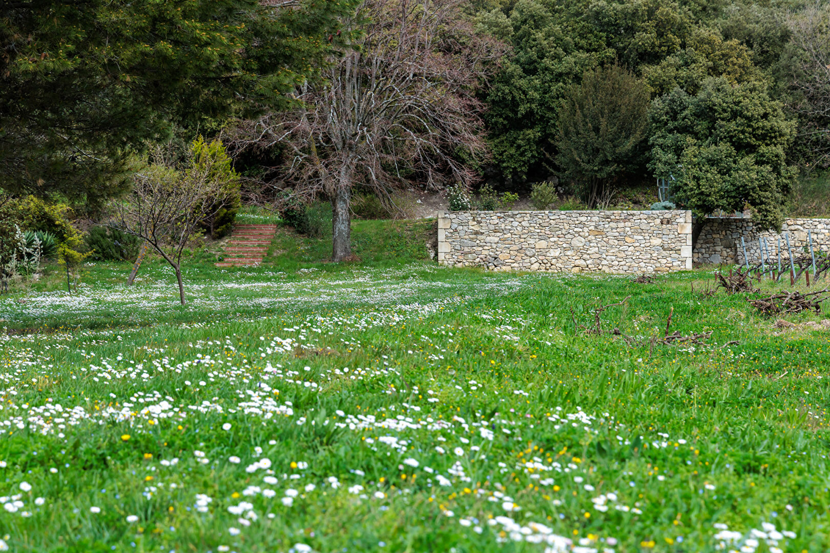 Hameau d’exception pour projet de vie ou d’accueil