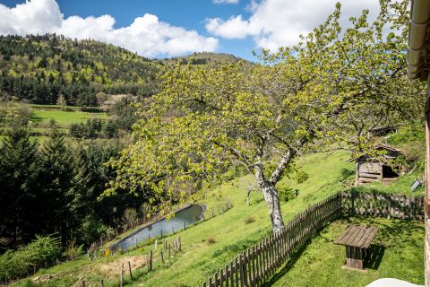 Corps de ferme paisiblement bercé au creux de l’Ardèche verte.