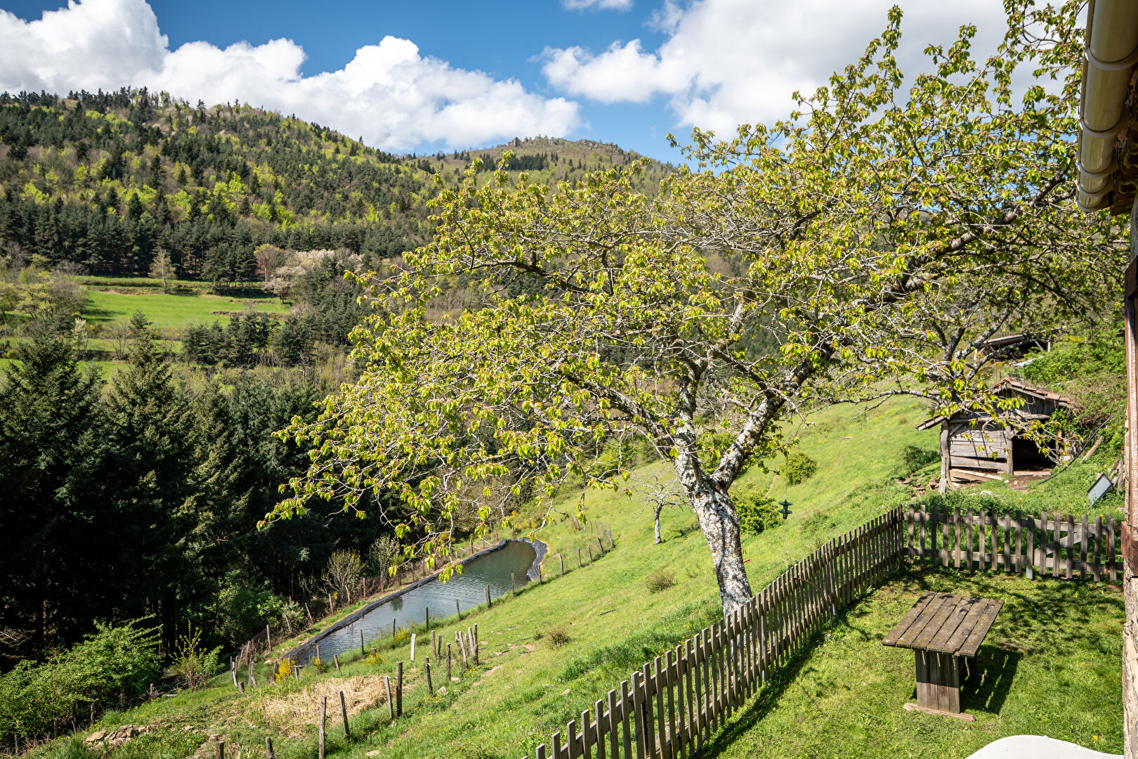 Corps de ferme paisiblement bercé au creux de l’Ardèche verte.