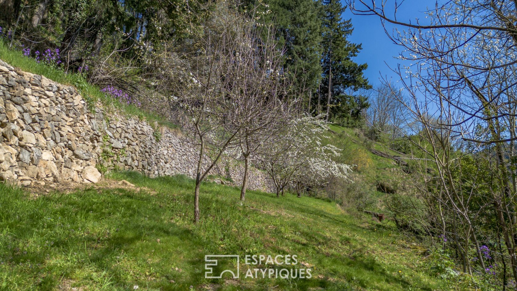Maison en pierre avec vue, verger de fruitiers,  et gîte à Antraigues-sur-Volane