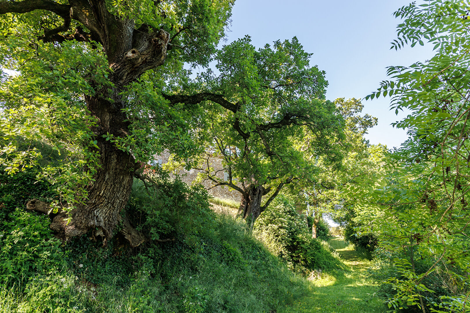 Demeure XVIIIe rénovée avec élégance et charme fou en Sud Drôme