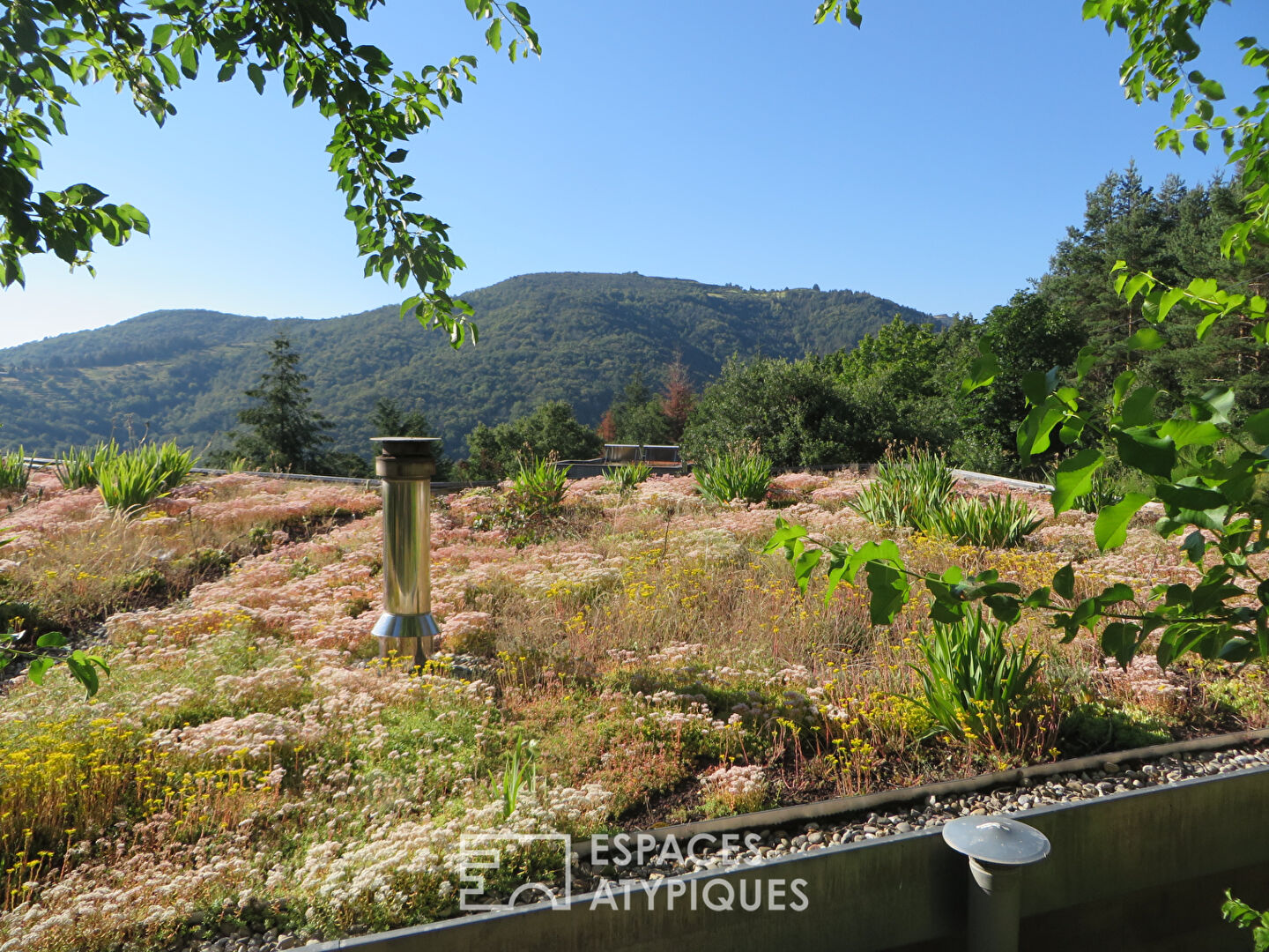 Maison bioclimatique avec toit végétalisé en Ardèche sauvage