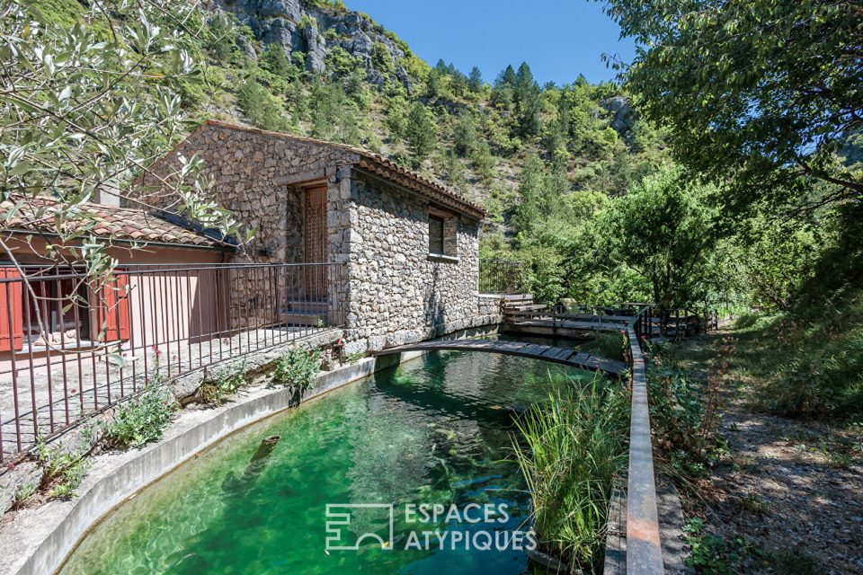 Maison en pierre avec source et bassin naturel ? Drôme provençale