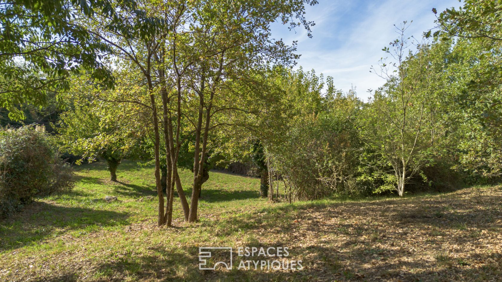 Mas de caractère rénové avec ses gîtes, sa piscine et son atelier d’artiste