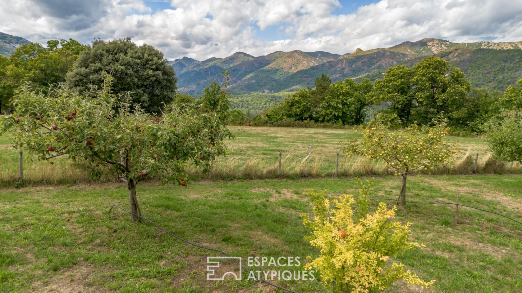 Ancienne ferme en pierre rénovée, piscine, vergers, vue panoramique