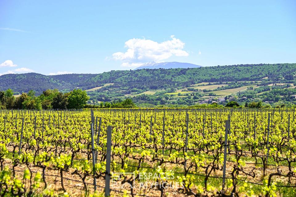 Domaine viticole confidentiel en Drôme Provençale