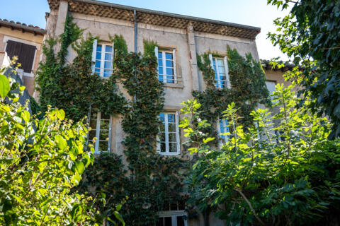 Maison en coeur de ville avec jardin arboré