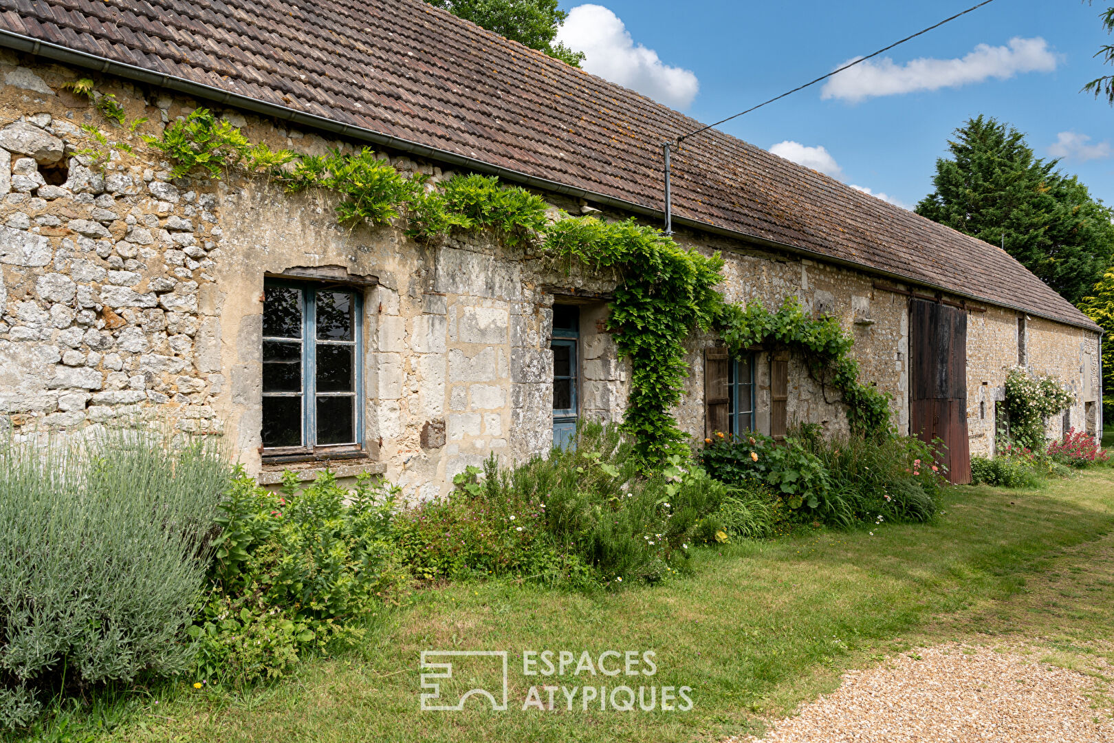Propriété avec cabanes dans les arbres