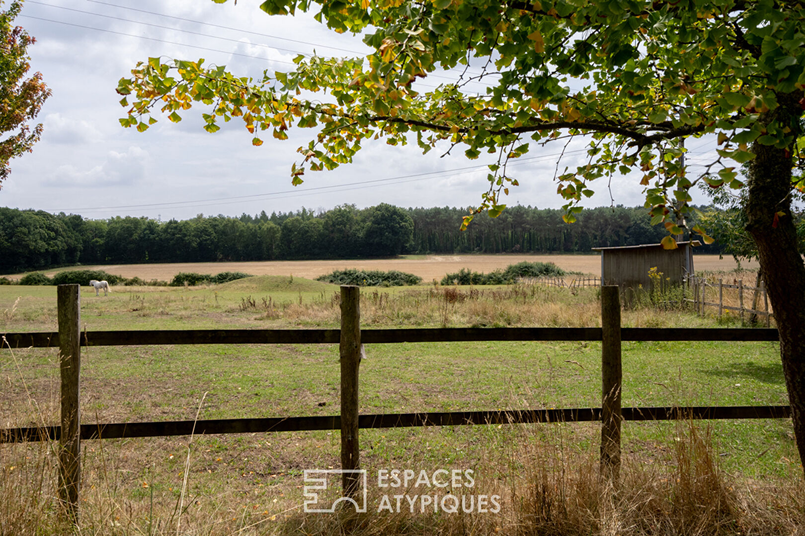 Maison de caractère sur intime domaine équestre arboré