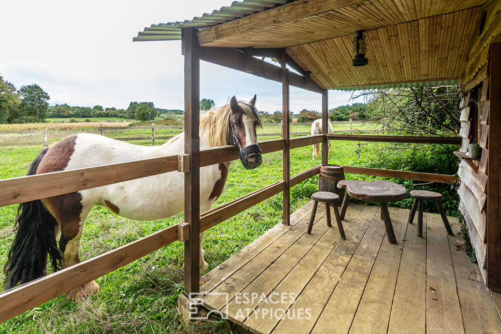 Equestrian domain with a western spirit
