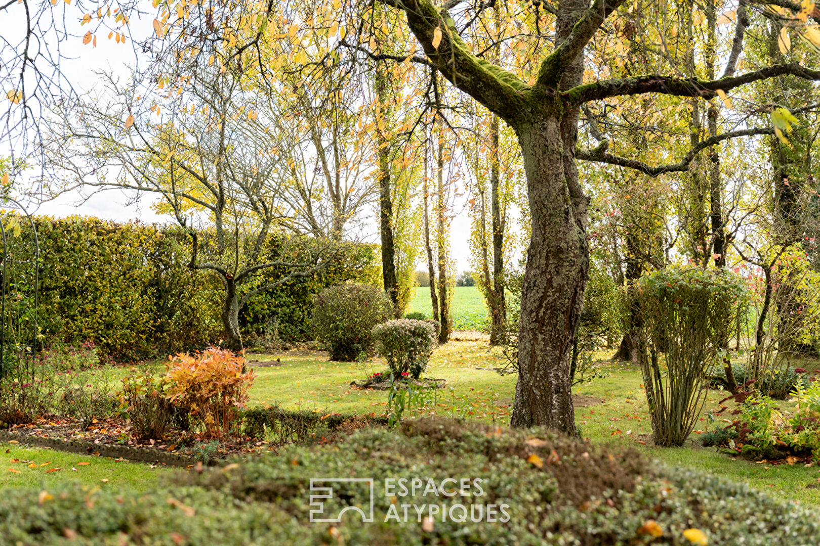 Charming country house full of character