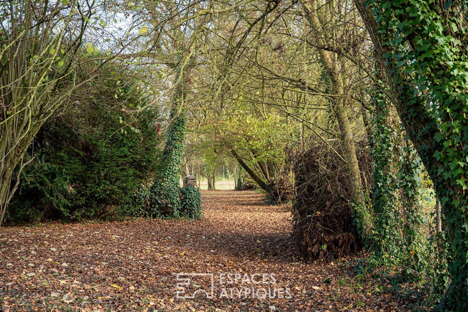 Stone house in the heart of a vast wooded park